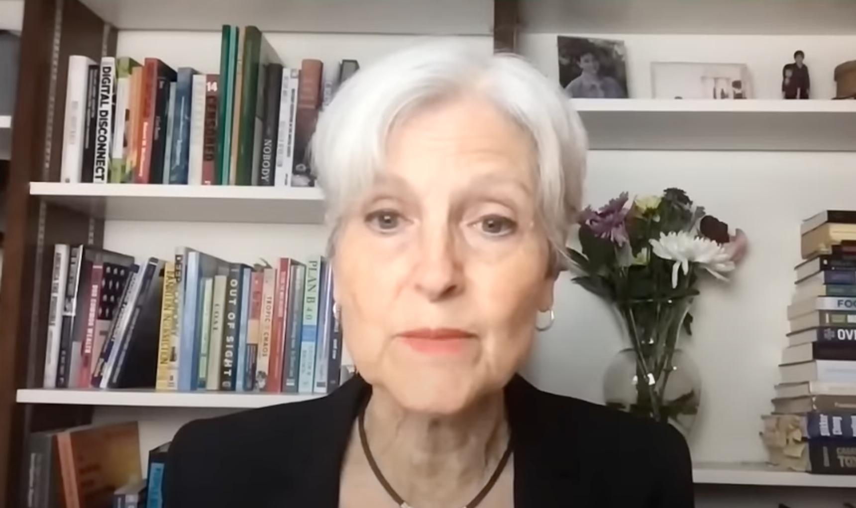 NextImg:Anti-Democratic Skullduggery Against West, Stein From the Democratic Party